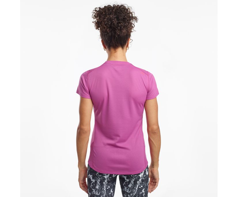 Saucony Stopwatch Short Sleeve Women's Shirts Purple | Canada 302HAPK